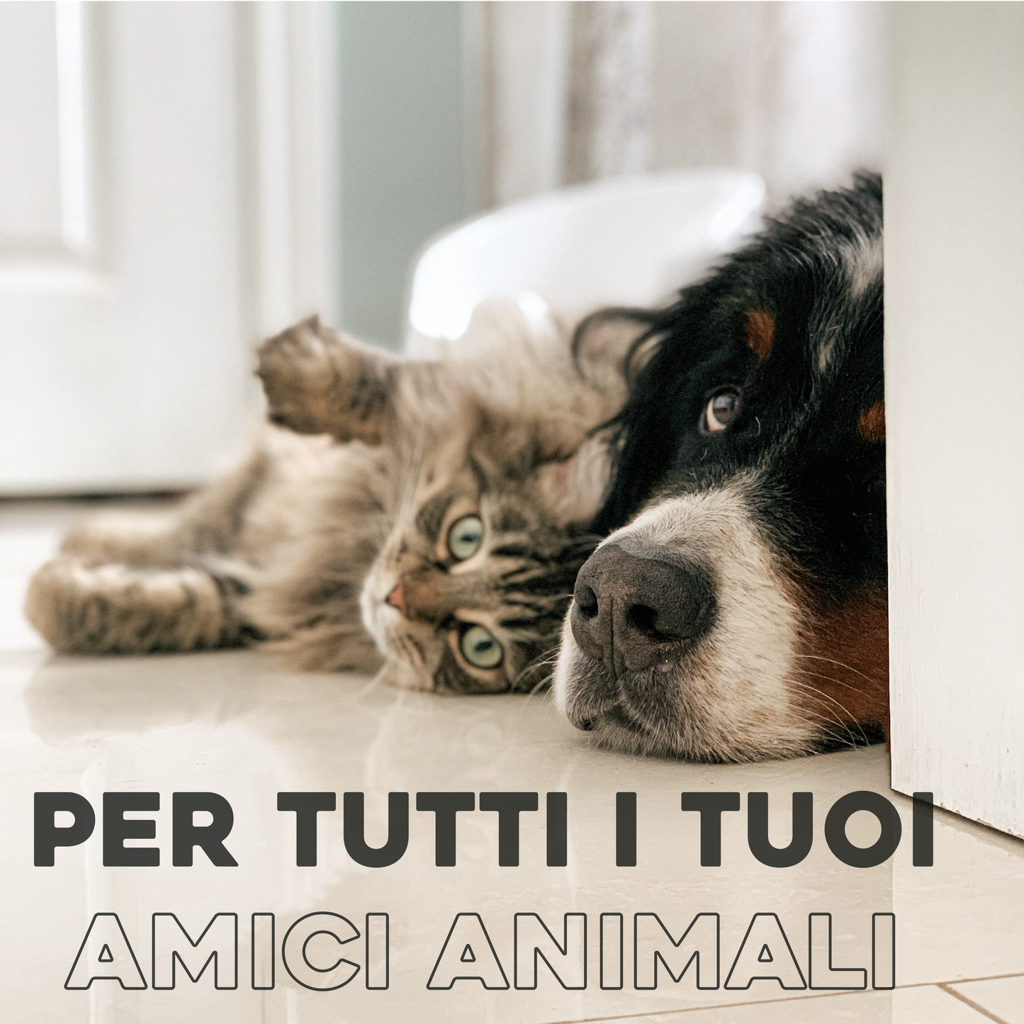 Pet Upholstery Tool - Tappezzeria