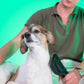 Pet Grooming Tool - Kit con 3 pettini