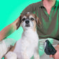 Pet Grooming Tool - Kit con 3 pettini