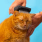 Pet Care - Kit per il tuo Animale