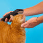 Pet Care - Kit per il tuo Animale