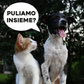 Pet Upholstery Tool - Tappezzeria